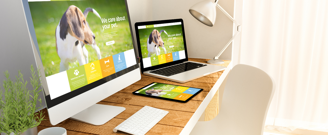 How to Translate Your Brand Story Into Ecommerce Design That Converts